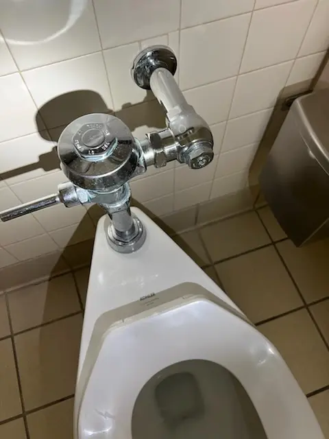 Fixture installation and repair for Garbage Disposal in Chrome